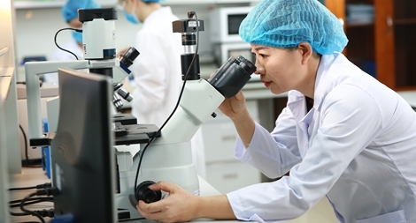 Ứng dụng công nghệ cao trong bào chế dược liệu